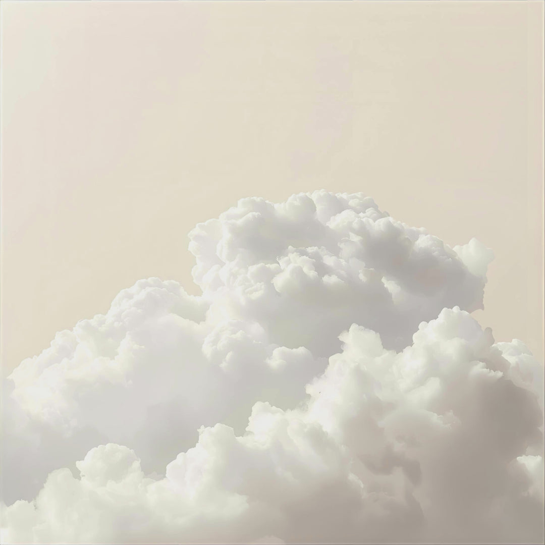 Vanilla Cloud Fragrance Notes. Top Notes: Vanilla Bean, Orchid. Middle Notes: Caramel, Tonka Bean. Base Notes: Amber Woods.