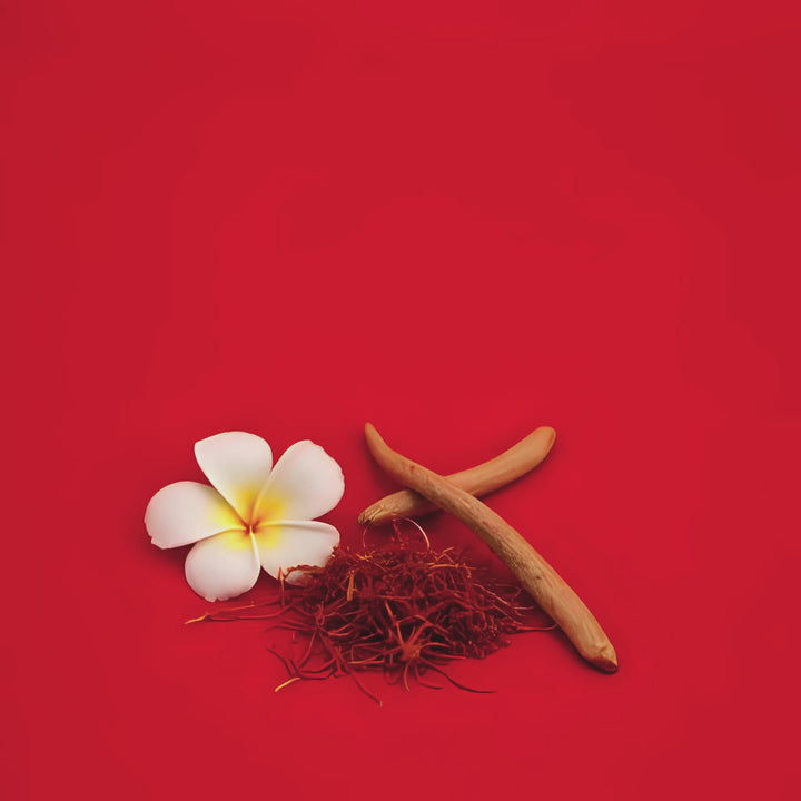 Saffron Cedarwood Fragrance notes. Top notes: Jasmine, Saffron. Middle Notes: Fir, Cedar. Base Notes: Amberwood, Ambergris