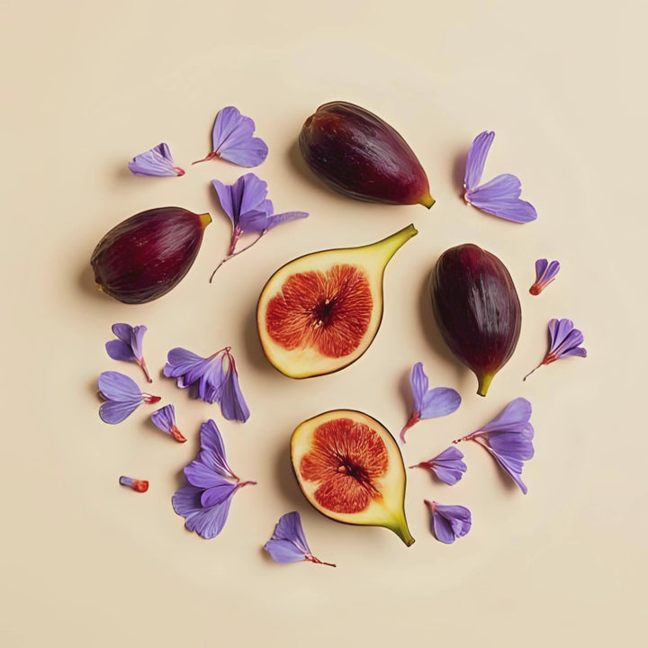 Violet Fig Noir Fragrance Notes. Top Notes: Fig. Middle Notes: Violet, Yerbe Mate. Base Notes: Clove, Tonka, Vanilla Bean.
