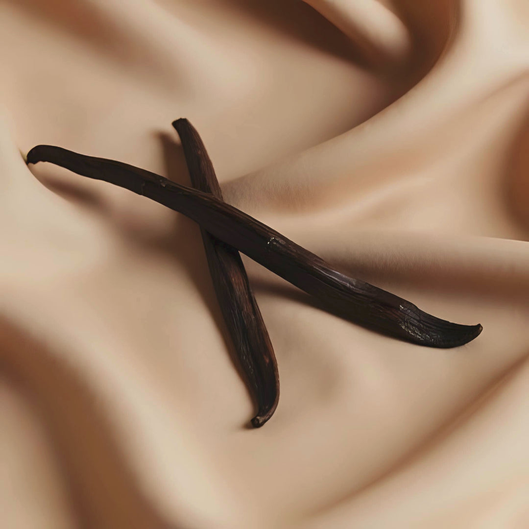 Vanilla Sandalwood fragrance notes. Top notes: bergamot. Middle Notes: Vanilla Bean. Base notes: Indian Sandalwood, Tonka Bean