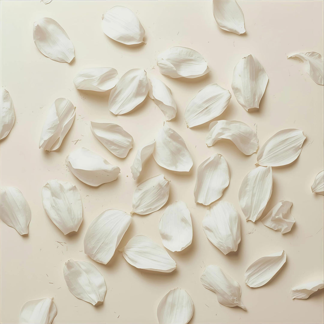 Tuberose Creme fragrance notes. Top notes: lactonic cream, ambrette. Middle Notes: Tuberose, Jasmine, Smoky Incense. Base Notes: Vanilla, Tonka Bean, Cocoa Powder.