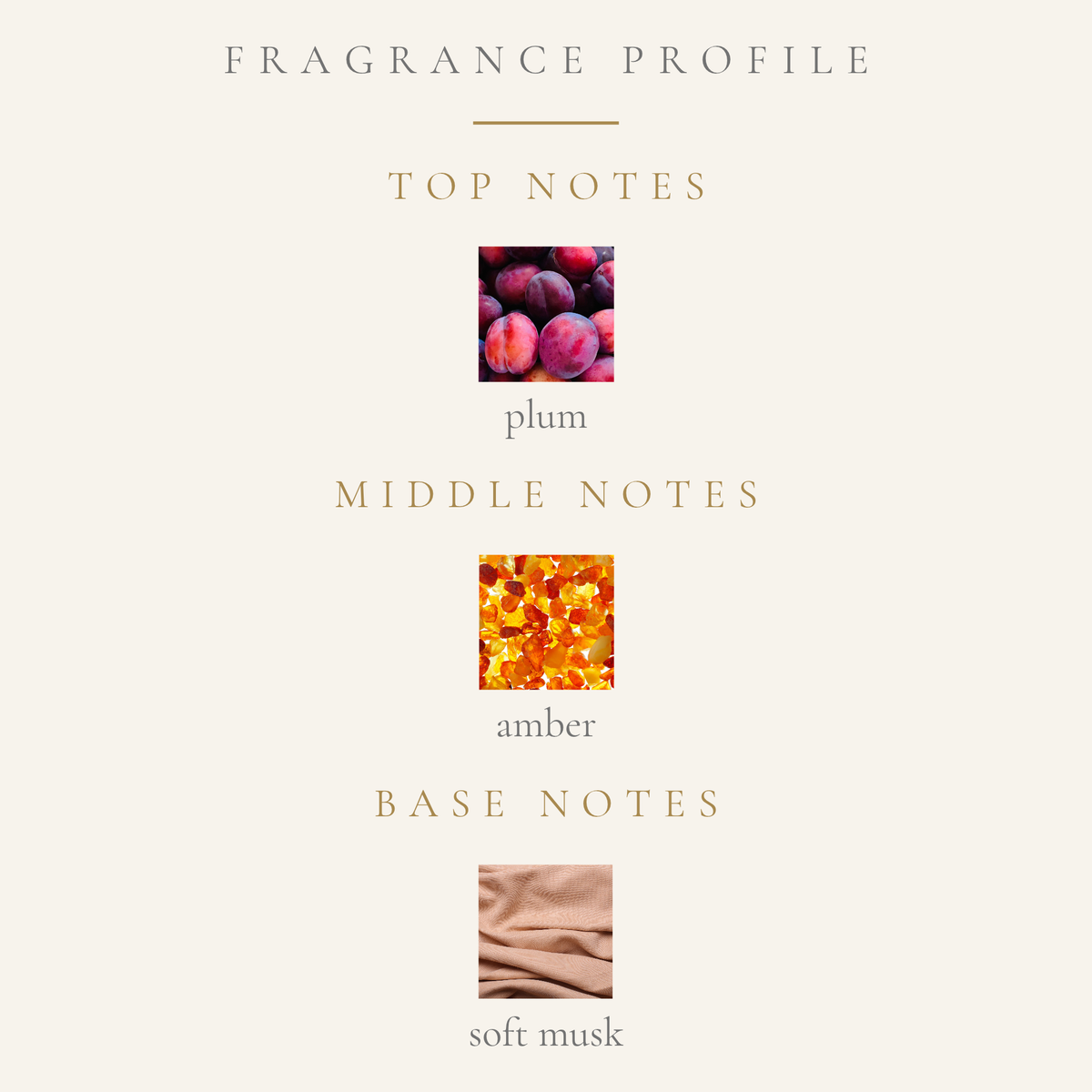 Top notes: plum. middle notes: amber. Base notes: soft musk