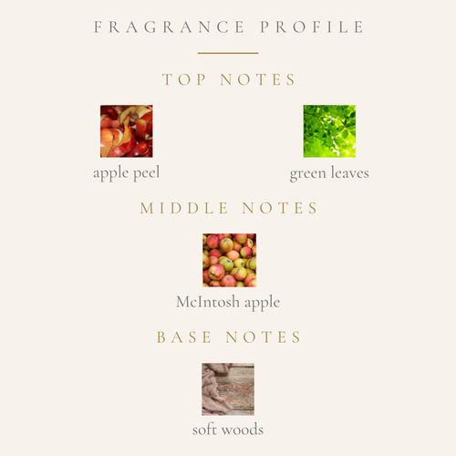 Top Notes:
green leaves
apple skin
Middle Notes:
mcintosh apple
Base Notes:
soft woods
