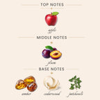 Top Notes:
apple
Middle Notes:
plum
Base Notes:
amber
cedarwood
patchouli