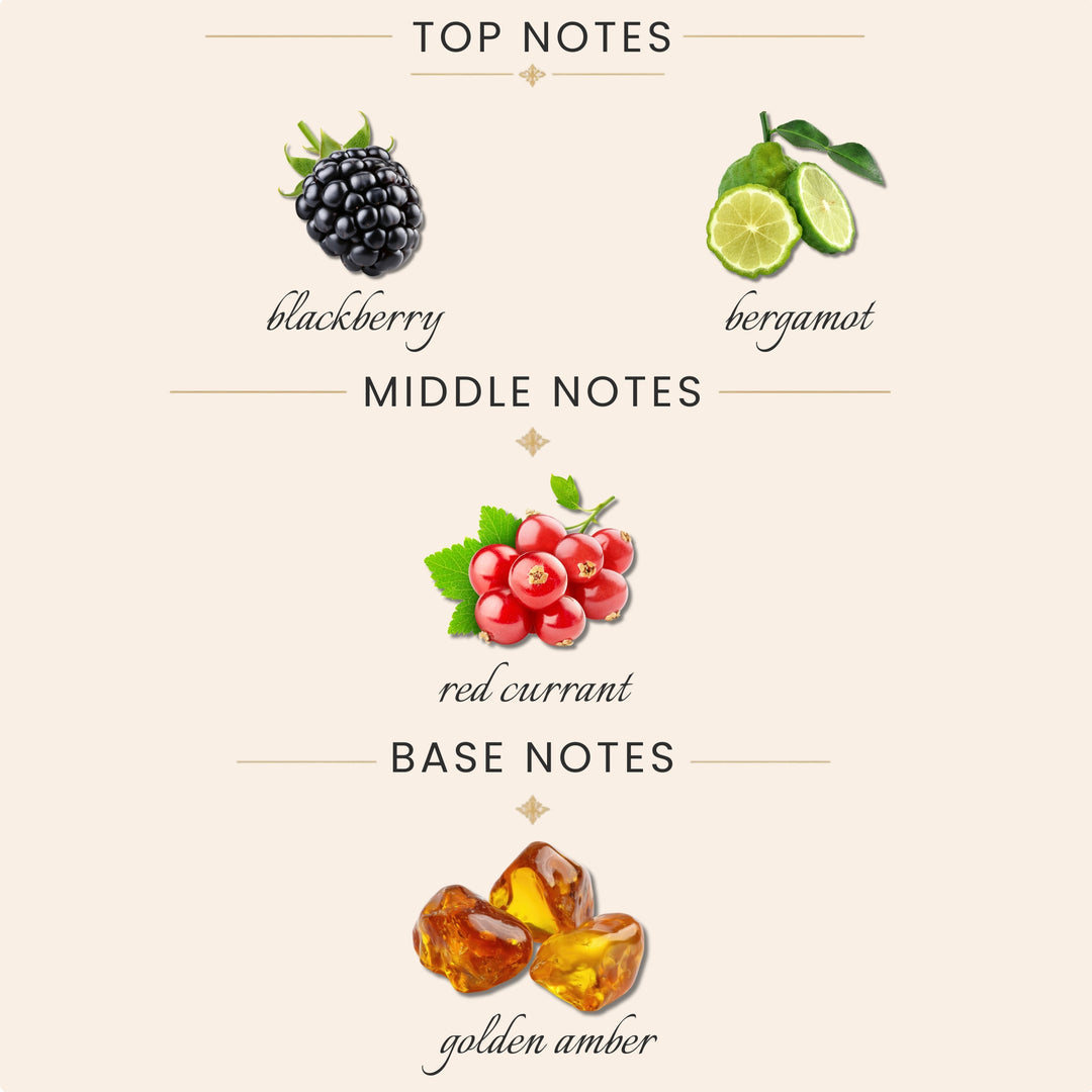 Top Notes:
blackberry
bergamot
Middle Notes:
red currant
Base Notes:
golden amber