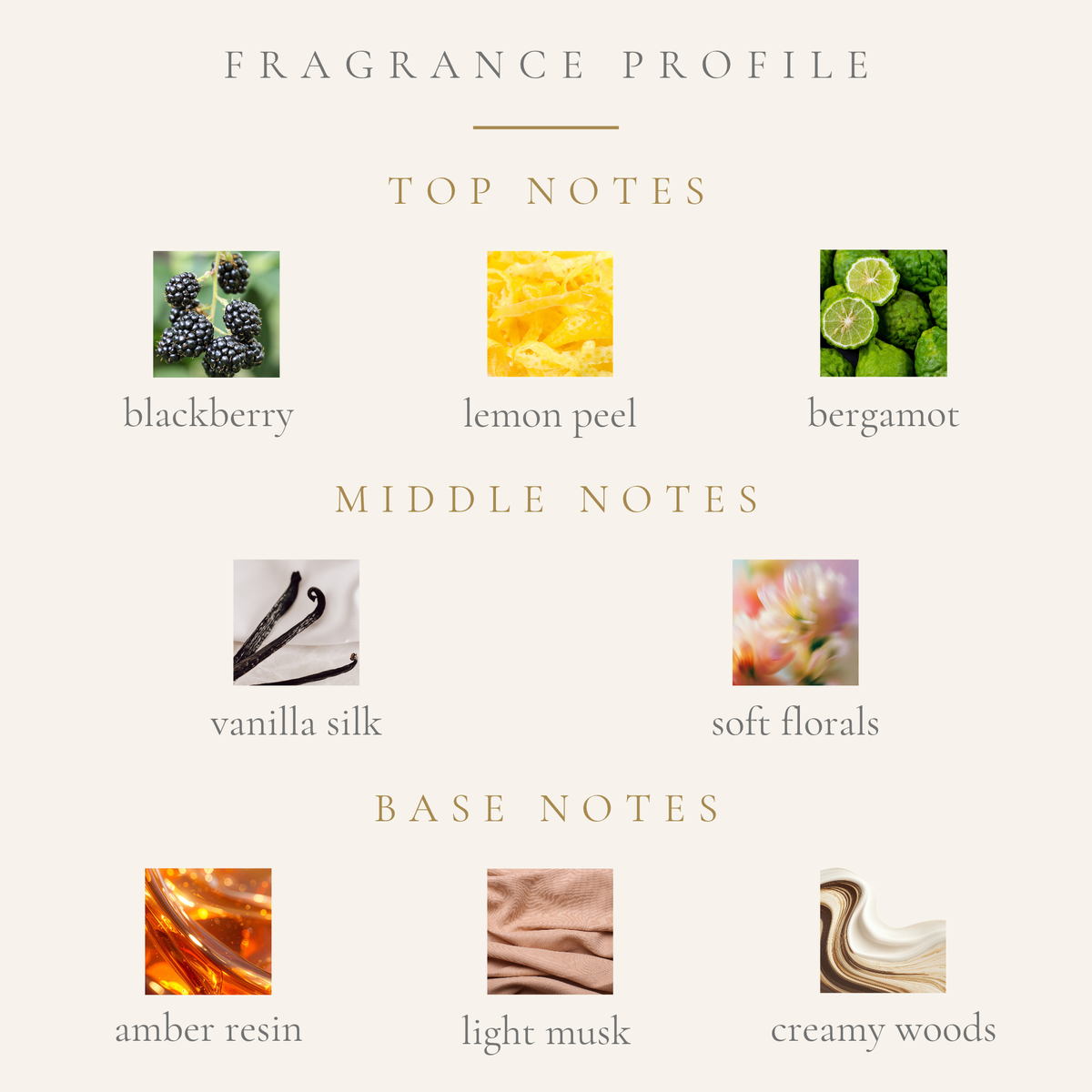 Top Notes:
blackberry
lemon peel
bergamot
Middle Notes:
vanilla silk
soft floral accord
Base Notes:
creamy woods
amber resin
soft musk