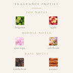 Top Notes:
bergamot
apple
Middle Notes:
spun sugar
soft floral accord
Base Notes:
vanilla bean
caramel