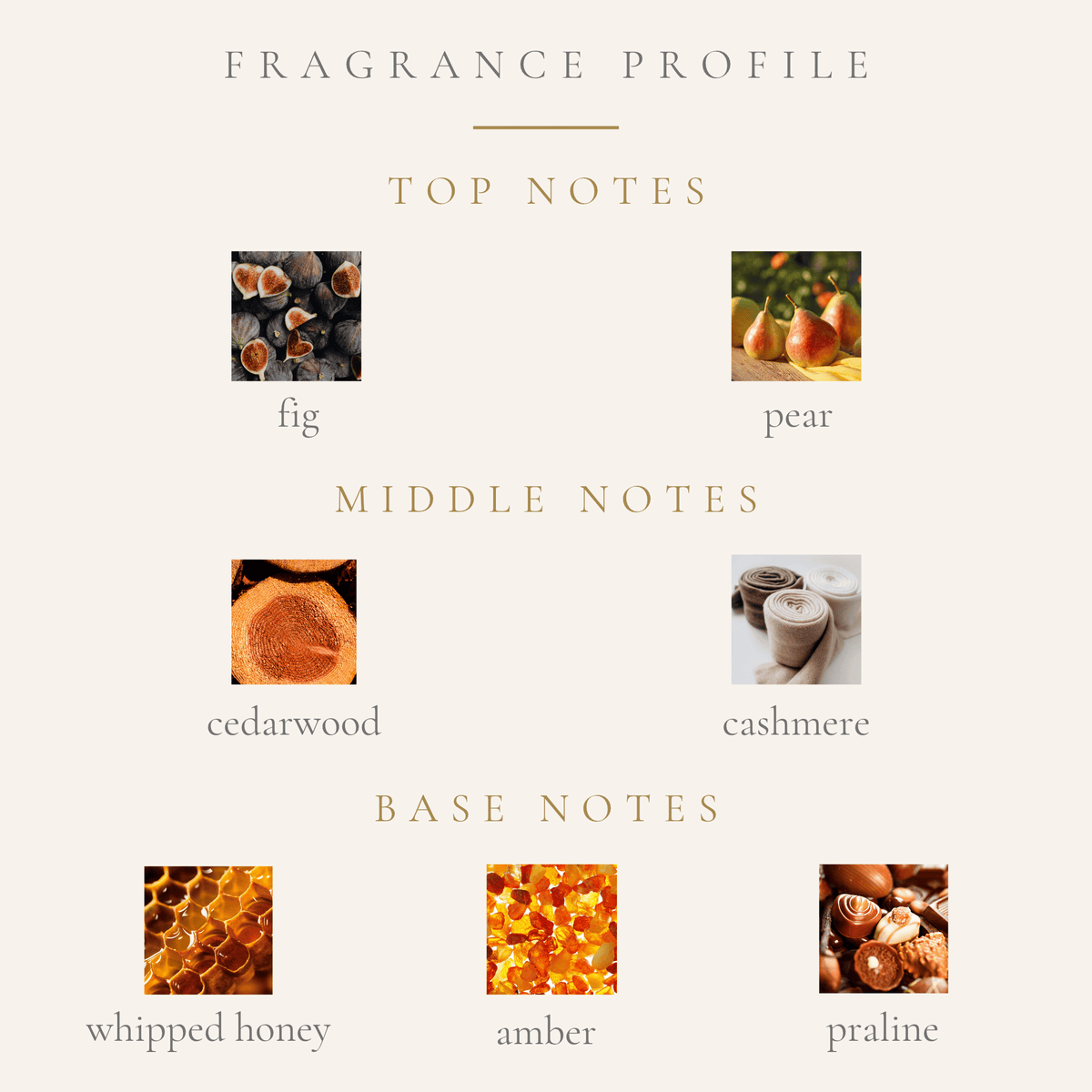 Top Notes:
dried golden fig
pear
Middle Notes:
cedarwood
cashmere
Base Notes:
whipped honey
praline
amber