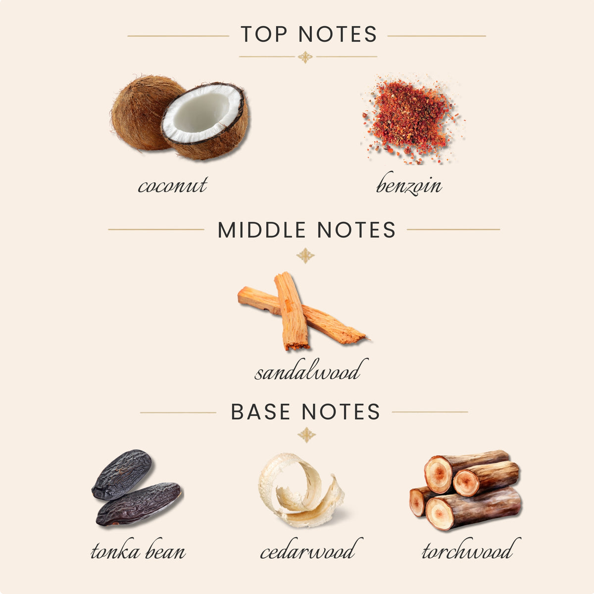 Top Notes:
coconut
benzoin
Middle Notes:
sandalwood
Base Notes:
tonka bean
cedarwood
torchwood