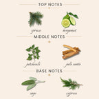 Top Notes:
spruce
bergamot
Middle Notes:
patchouli
palo santto
Base Notes:
sage
cypress