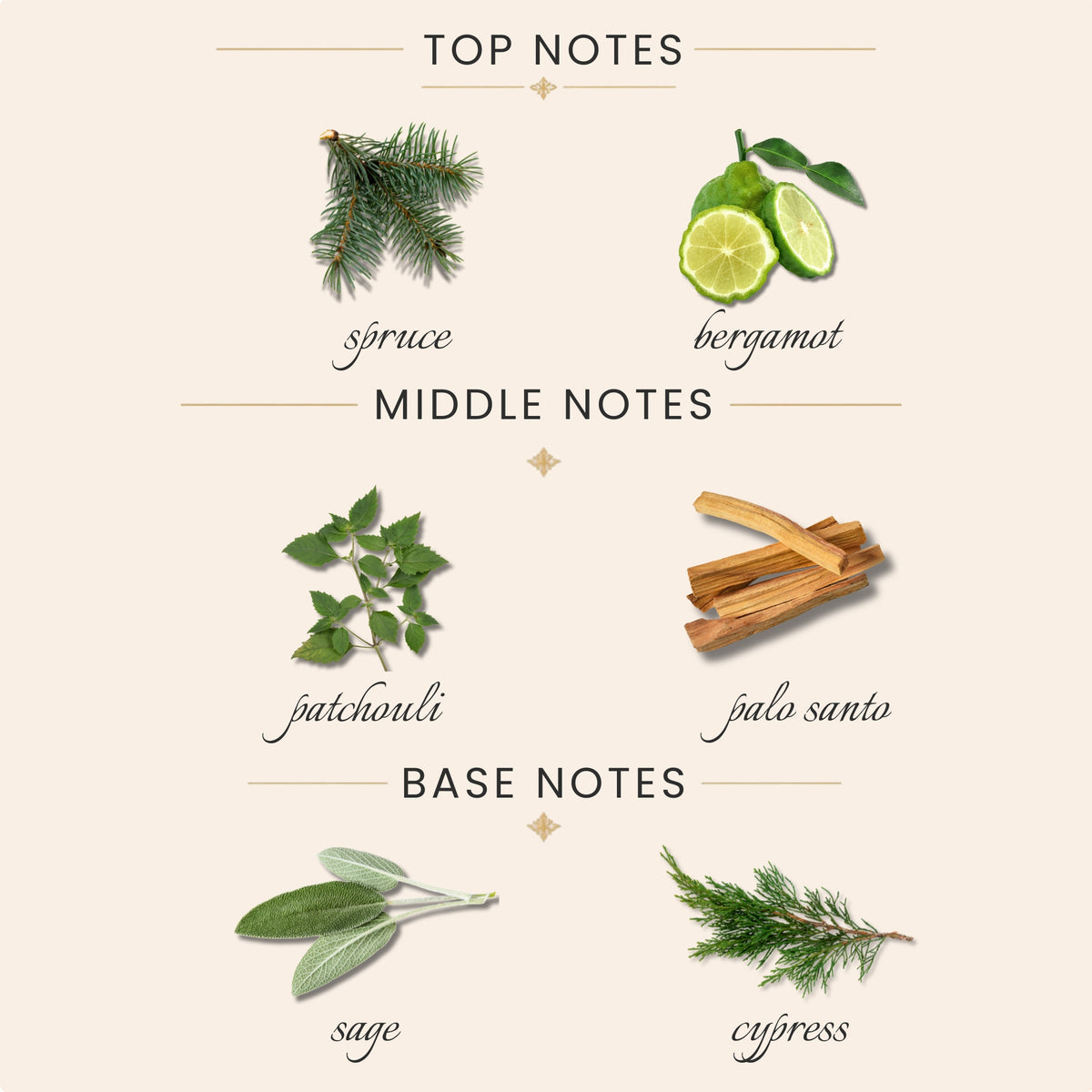 Top Notes:
spruce
bergamot
Middle Notes:
patchouli
palo santto
Base Notes:
sage
cypress