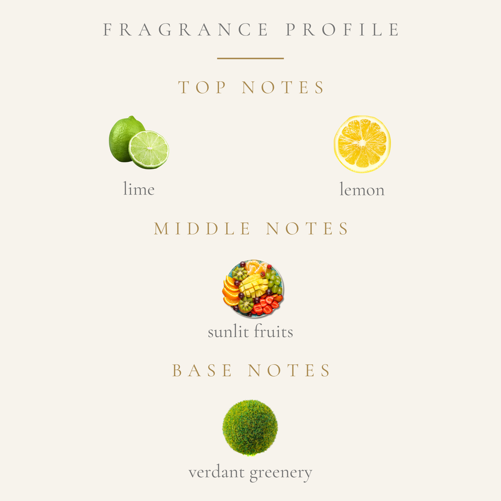 Top Notes:
sparkling lemon
zesty lime
Middle Notes:
juicy sunlit fruits
Base Notes:
verdant greenery