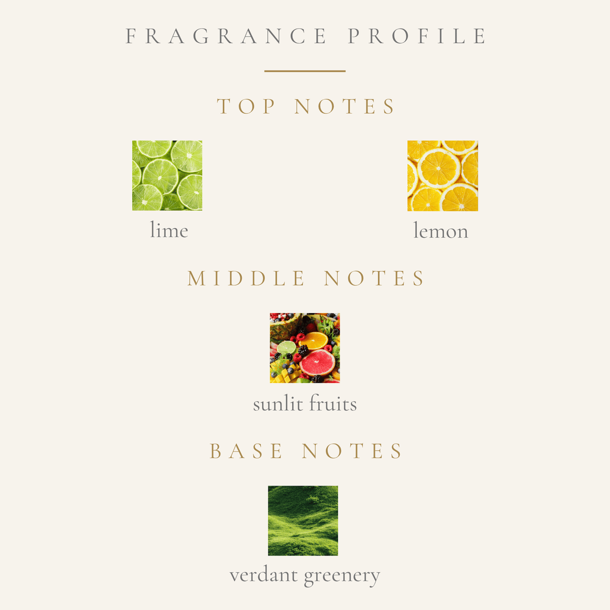 Top Notes:
sparkling lemon
zesty lime
Middle Notes:
juicy sunlit fruits
Base Notes:
verdant greenery