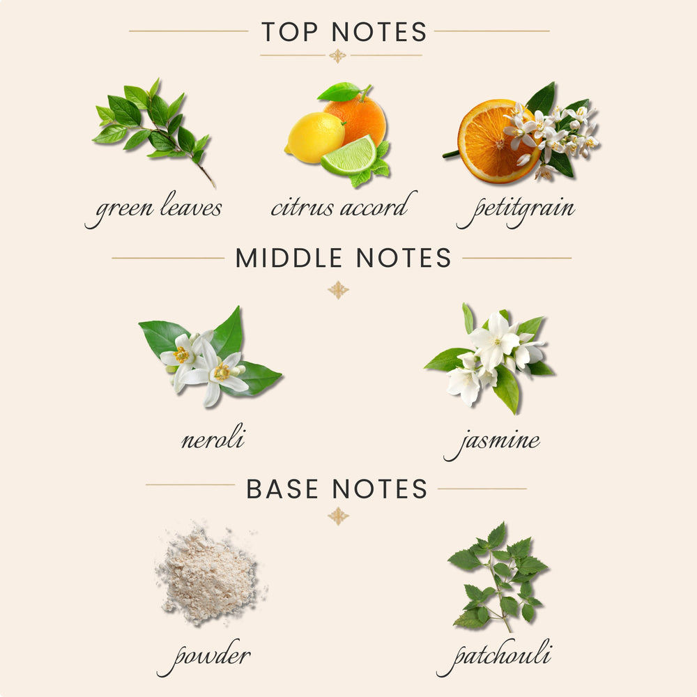 Top Notes:
green leaves
citrus accord
petitgrain
Middle Notes:
neroli
jasmine
Base Notes:
powder
patchouli