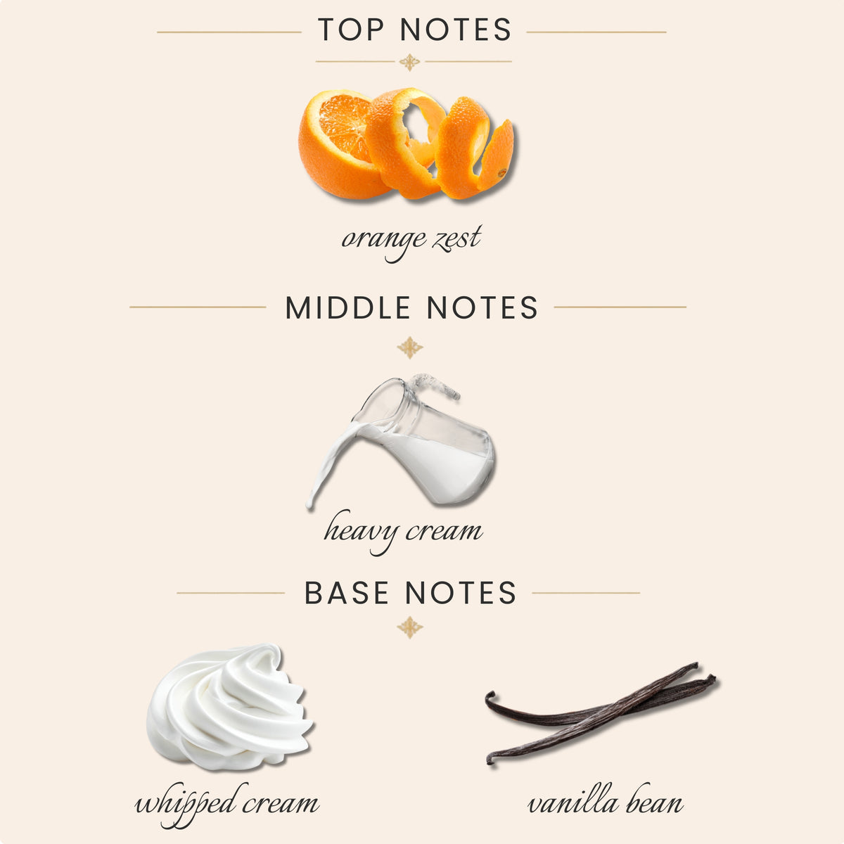 Top Notes:
orange zest
Middle Notes:
heavy cream
Base Notes:
whipped cream
vanilla bean