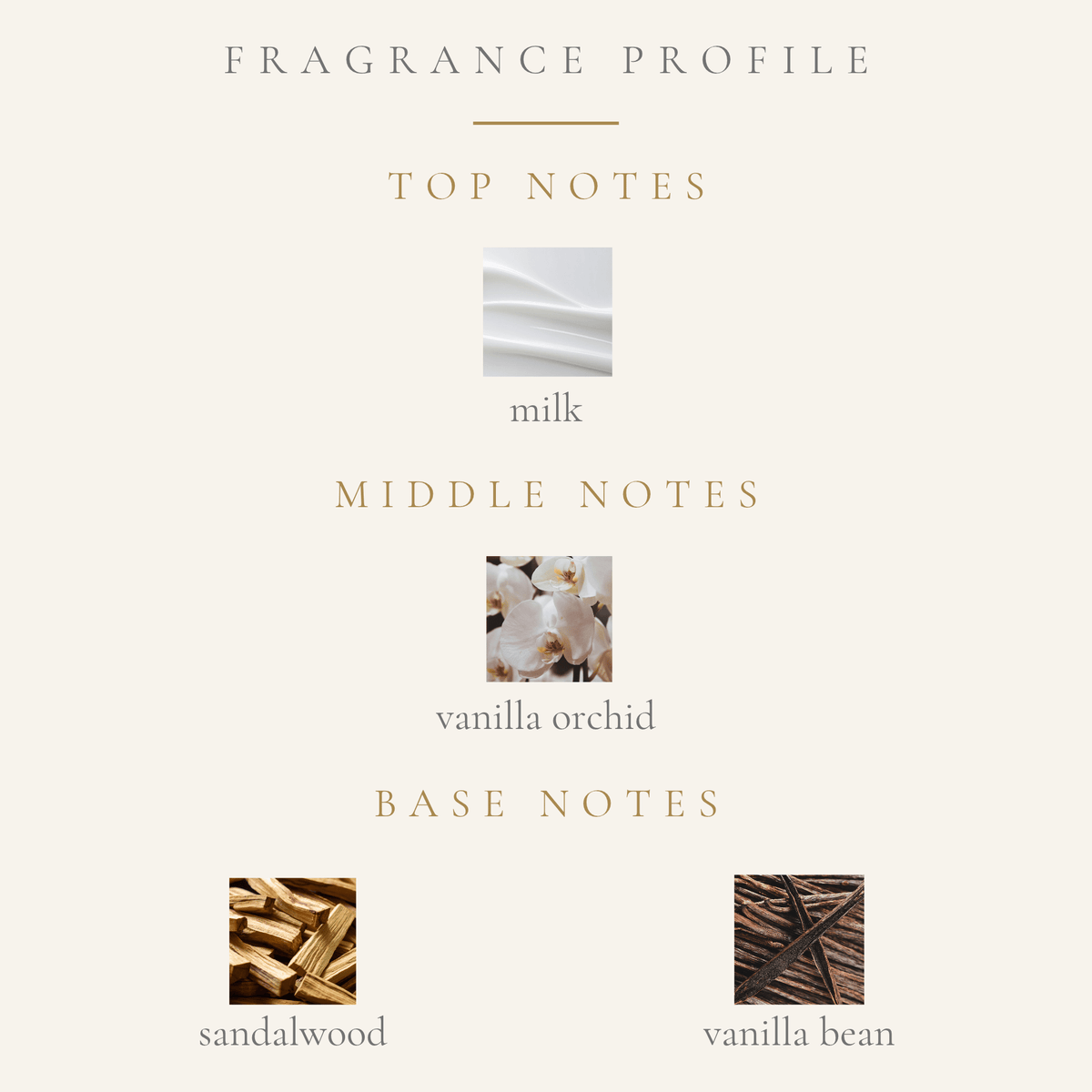 Top Notes:
milk veil accord
Middle Notes:
vanilla orchid
Base Notes:
sandalwood
vanilla bean