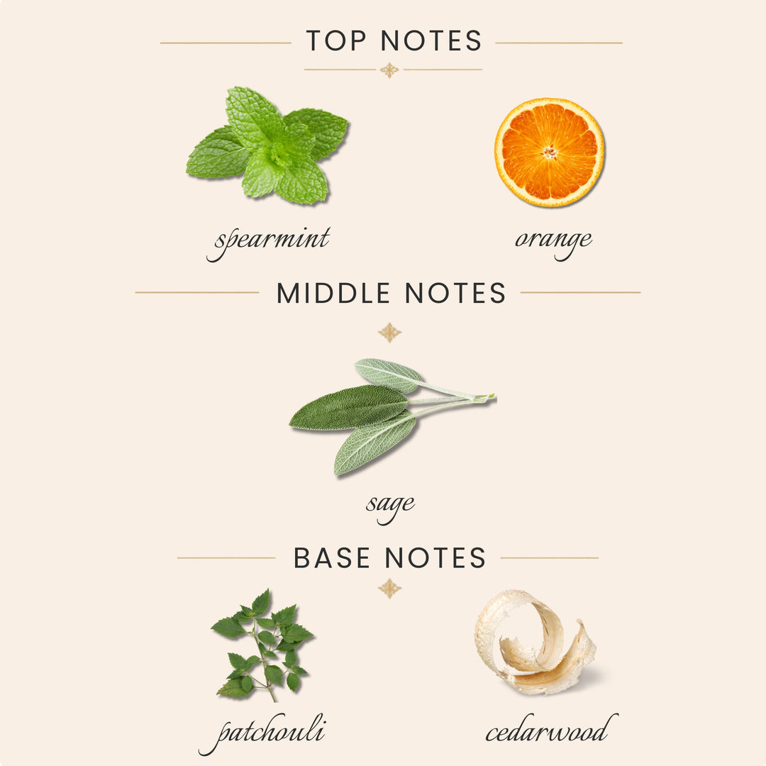 Top notes: spearmint, orange
Middle notes: sage
Base notes: patchouli, cedarwood