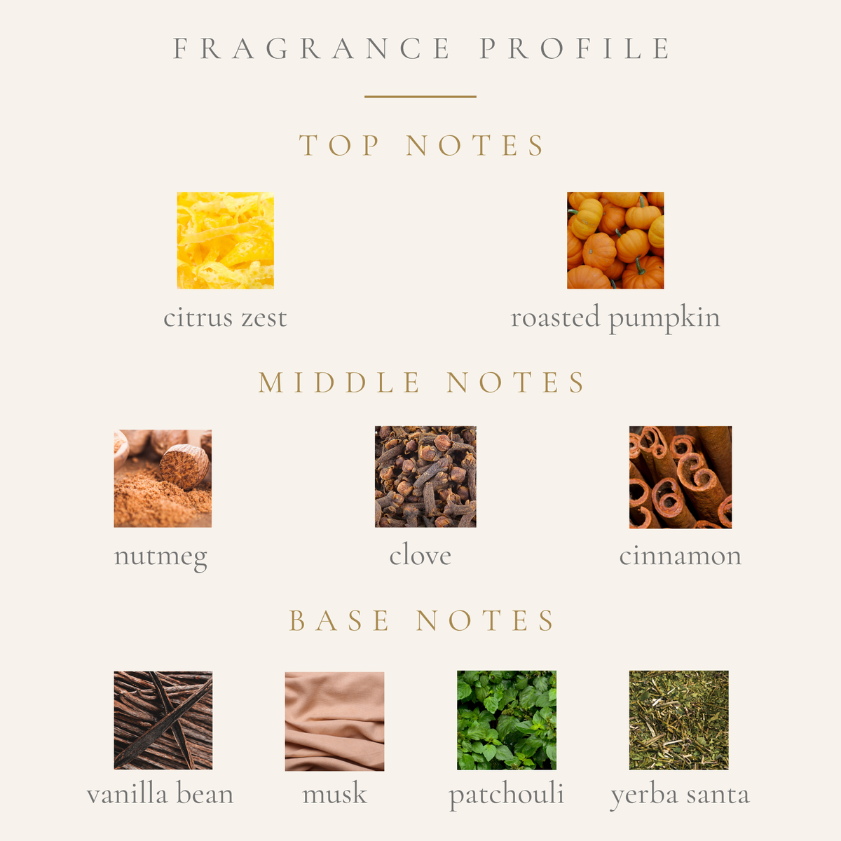 Top Notes:
citrus zest
roasted pumpkin
Middle Notes:
nutmeg
clove
cinnamon
Base Notes:
patchouli
musk
vanilla bean
yerba santa