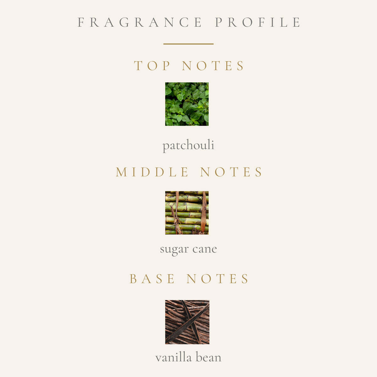 Top Notes:
patchouli
Middle Notes:
sugar cane
Base Notes:
vanilla bean