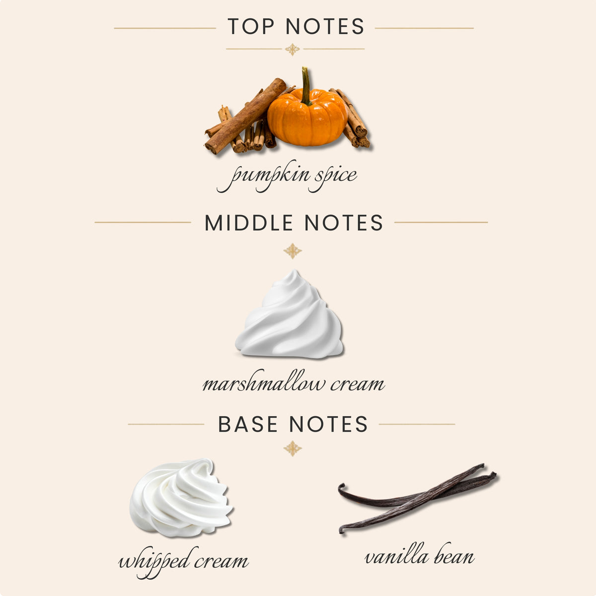 Top Notes:
pumpkin spice
Middle Notes:
marshmallow cream
Base Notes:
whipped cream
vanilla bean