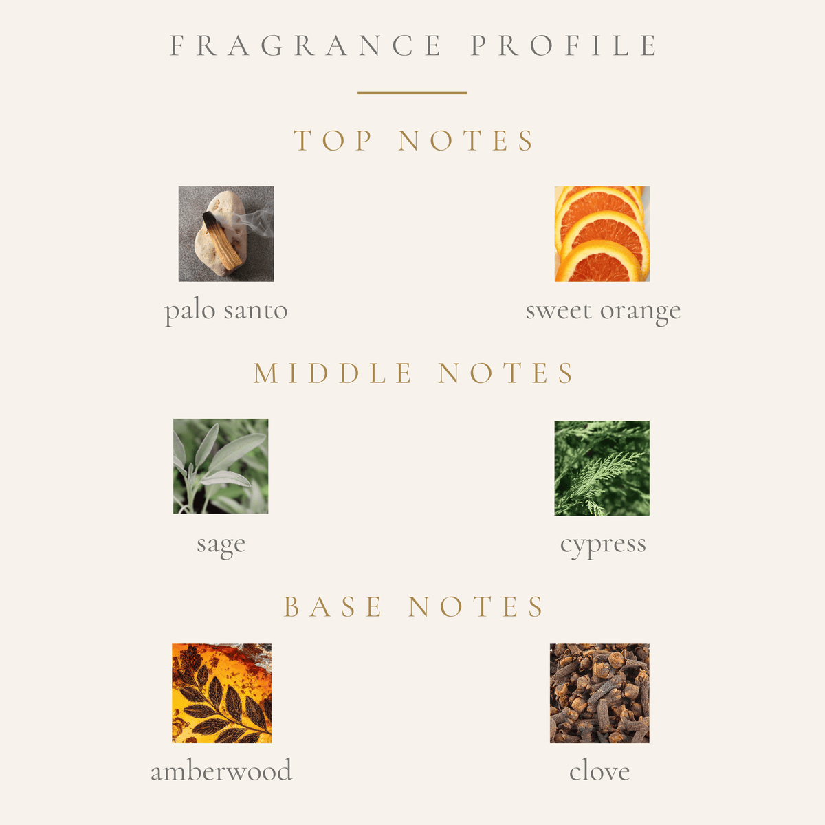 Top Notes:
palo santo
sweet orange
Middle Notes:
sage
cypress
Base Notes:
amberwood
clove