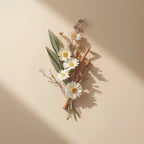 A dried floral arrangement featuring white daisies with yellow centers, green leaves, and cinnamon sticks, styled as a flat-lay on a warm beige background with soft diagonal shadows.