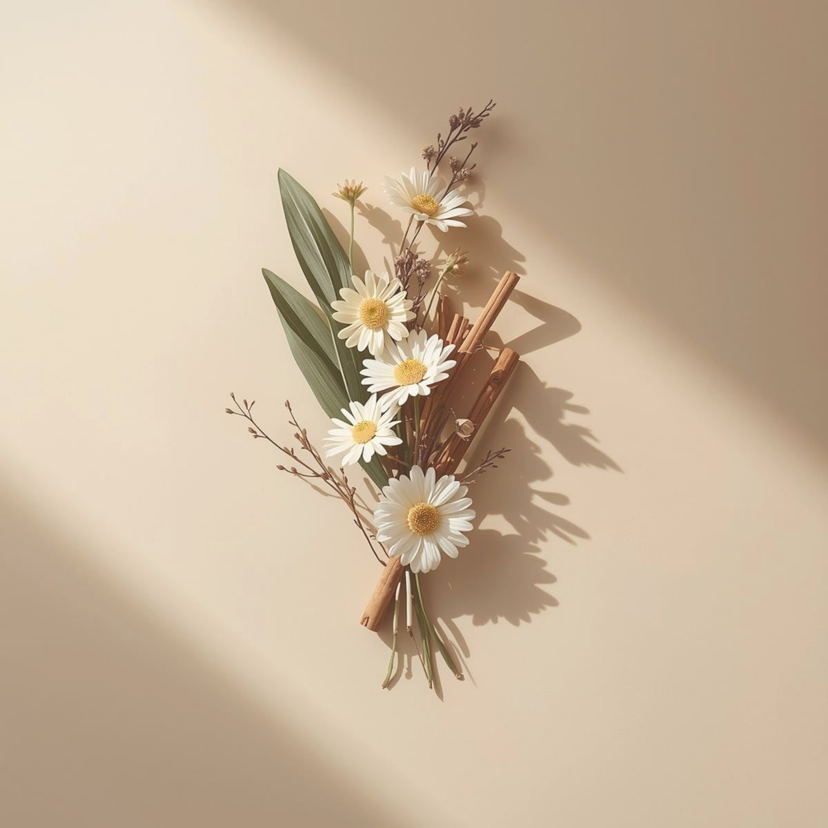 A dried floral arrangement featuring white daisies with yellow centers, green leaves, and cinnamon sticks, styled as a flat-lay on a warm beige background with soft diagonal shadows.