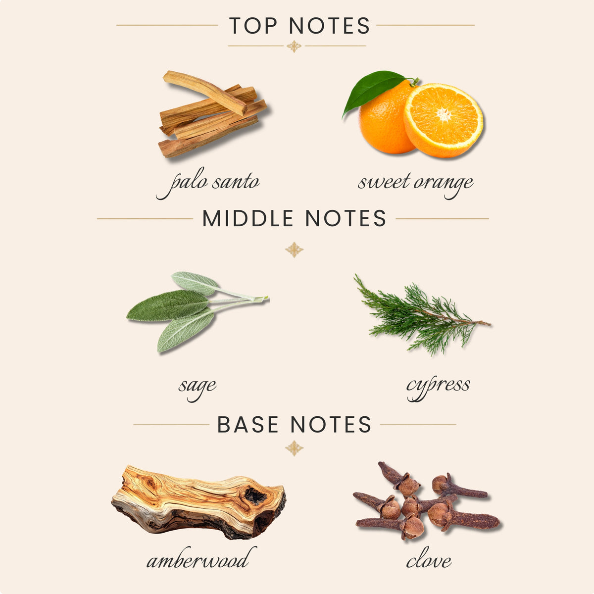 Top Notes:
palo santo
sweet orange
Middle Notes:
sage
cypress
Base Notes:
amberwood
clove