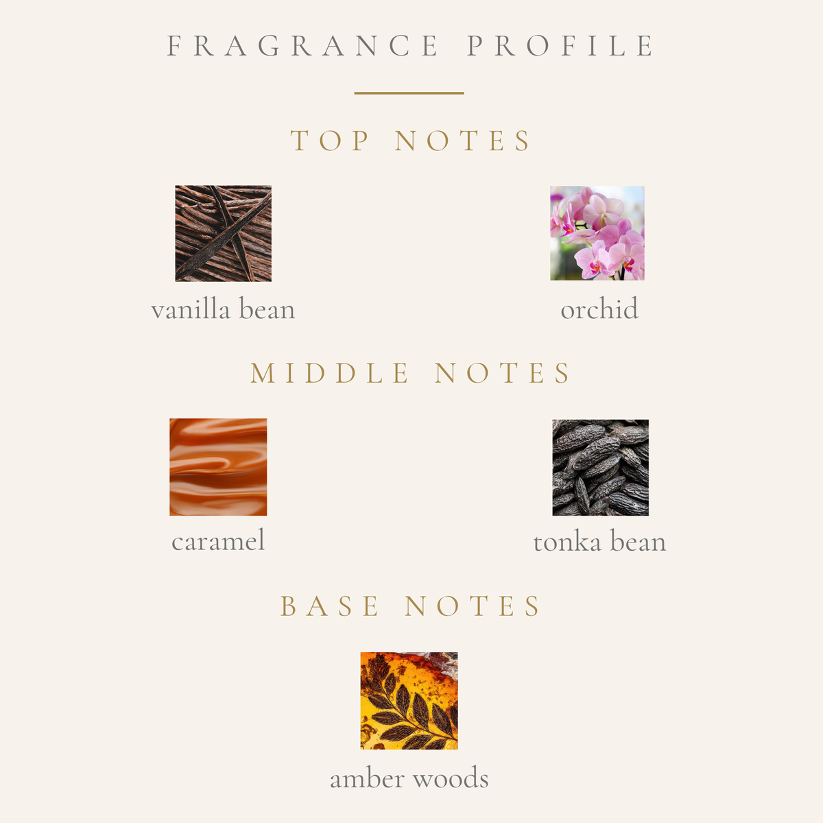 Top Notes:
vanilla bean
orchid
Middle Notes:
caramel
tonka bean
Base Notes:
amber woods