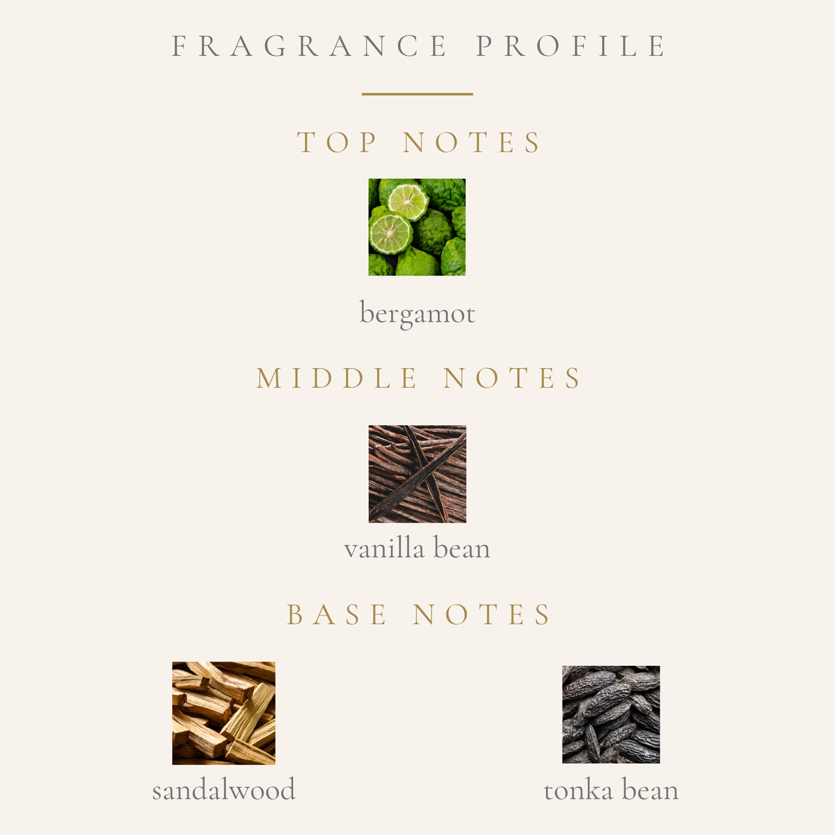 Top Notes:
bergamot
Middle Notes:
vanilla bean
Base Notes:
australian sandalwood
tonka bean