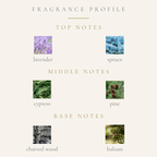 Top Notes:
lavender
spruce
Middle Notes:
cypress
pine
Base Notes:
charred wood accord
balsam
