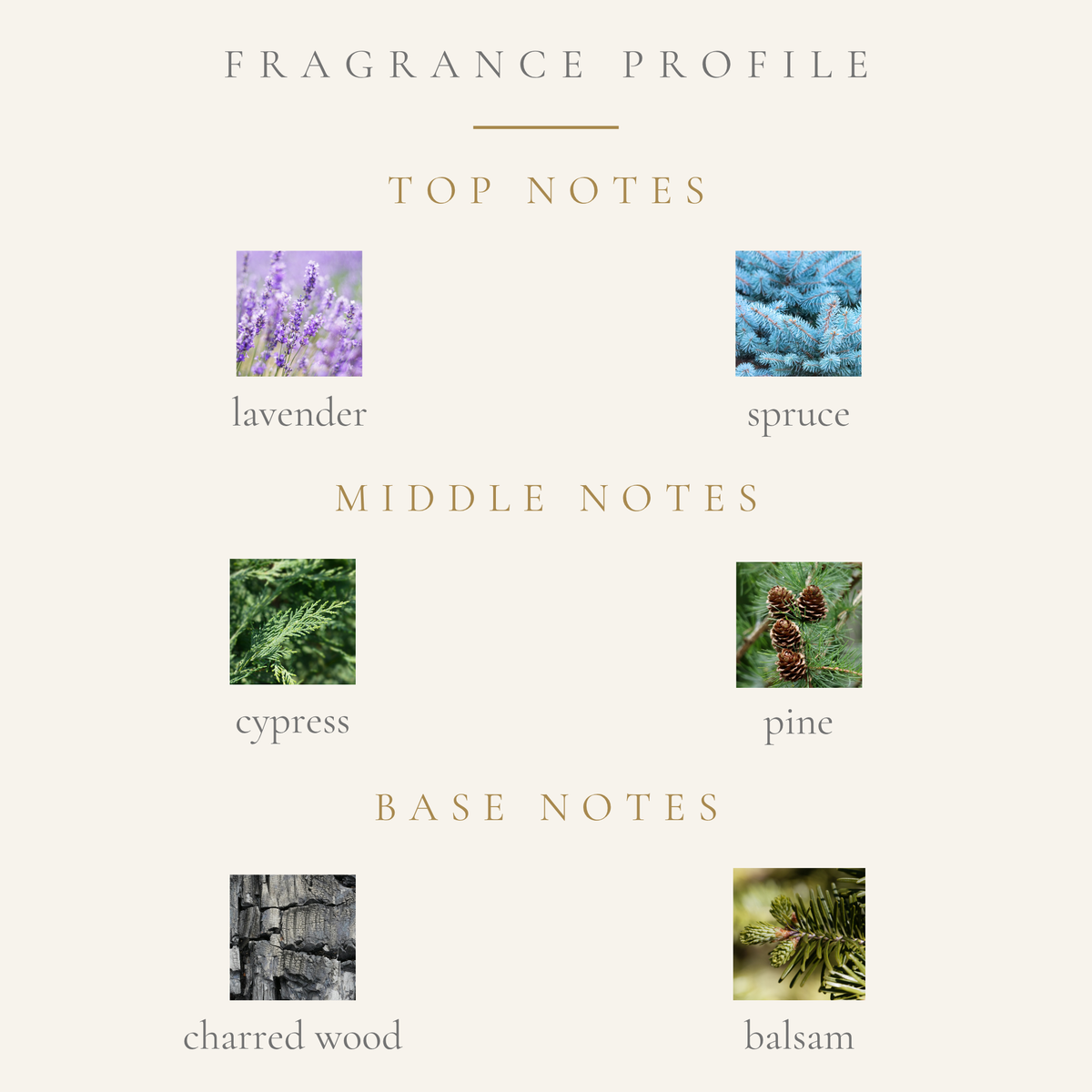 Top Notes:
lavender
spruce
Middle Notes:
cypress
pine
Base Notes:
charred wood accord
balsam