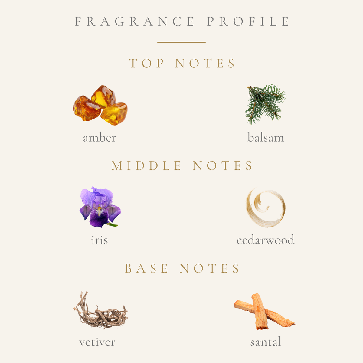 Top Notes:
amber
balsam
Middle Notes:
iris
cedarwood
Base Notes:
vetiver
santal