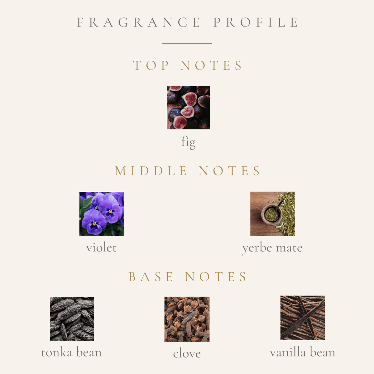 Top Notes:
fig
Middle Notes:
violet
yerbe mate
Base Notes:
clove
tonka
vanilla bean