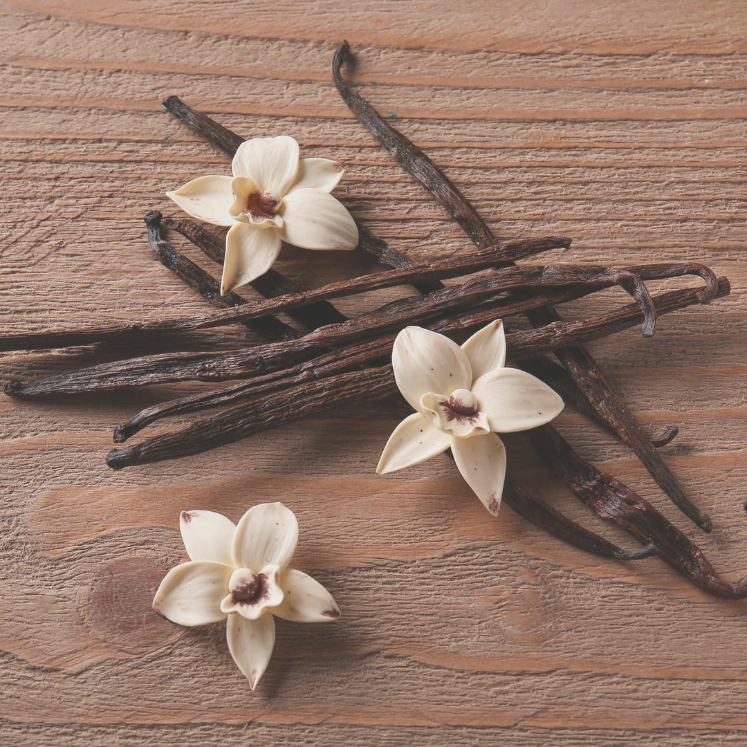 Vanilla Sandalwood Dry Shampoo Powder