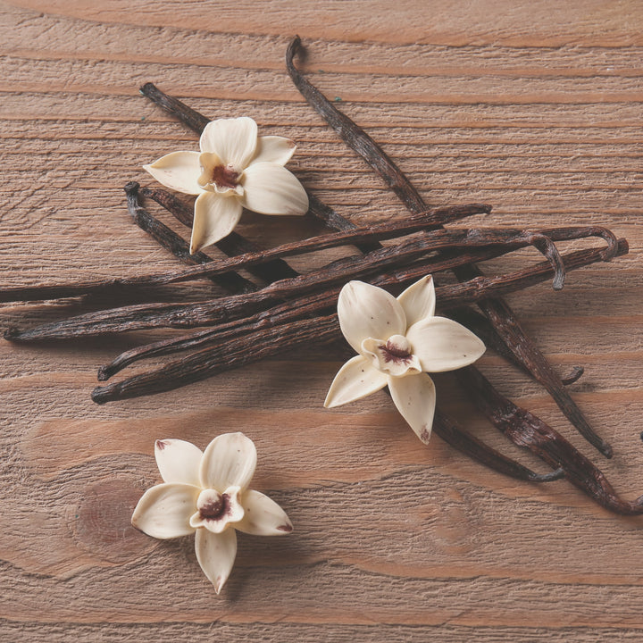 Vanilla Sandalwood Dry Shampoo Powder