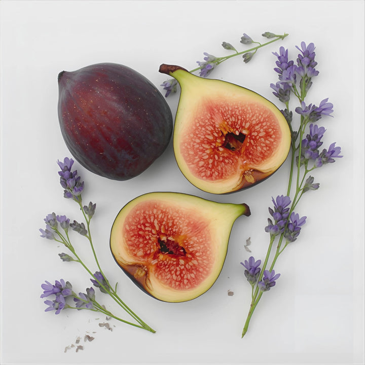 Violet Fig Noir Fragrance Notes. Top Notes: Fig. Middle Notes: Violet, Yerbe Mate. Base Notes: Clove, Tonka, Vanilla Bean.