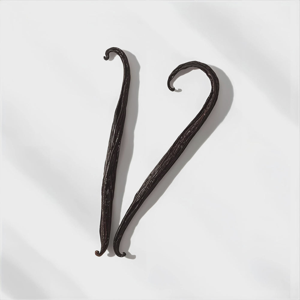 Vanilla Bean Fragrance Notes. Top notes: Vanilla Bean. Middle Notes: Butter Cream. Base notes: White sugar