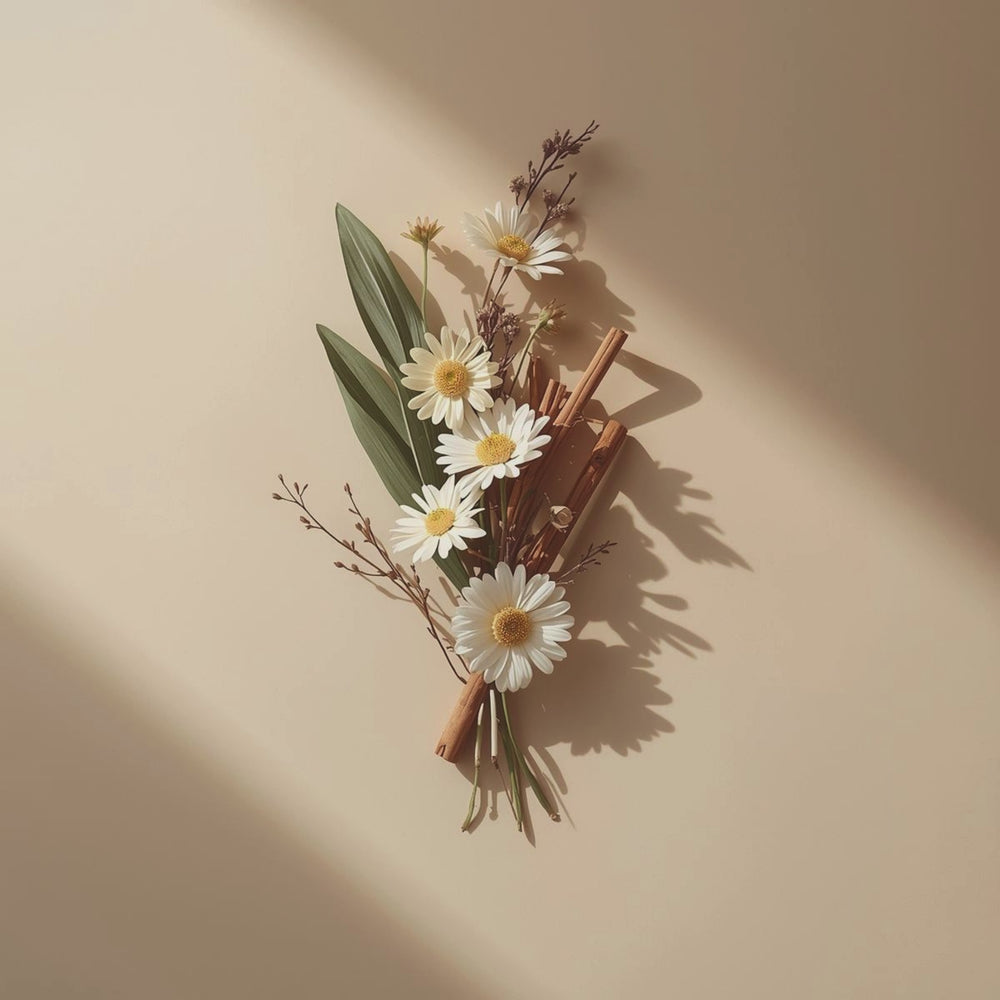 Santo and Cedar Fragrance notes. Top notes: Palo Santo, Sweet Orange. Middle Notes: Sage, Cypress. Base Notes: Cedarwood, Clove Bud.