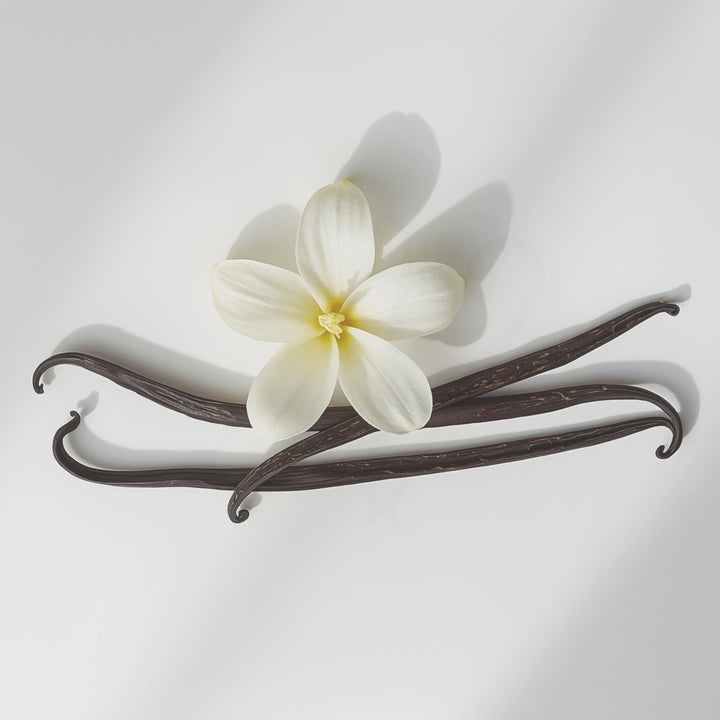 Vanilla Bean Body Dusting Powder