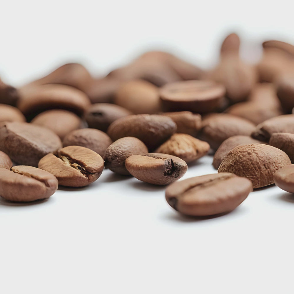 Coffee Shoppe Fragrance Notes. Top notes: coffee bean. Middle Notes Steamed Milk. Base Notes: Vanilla Cream