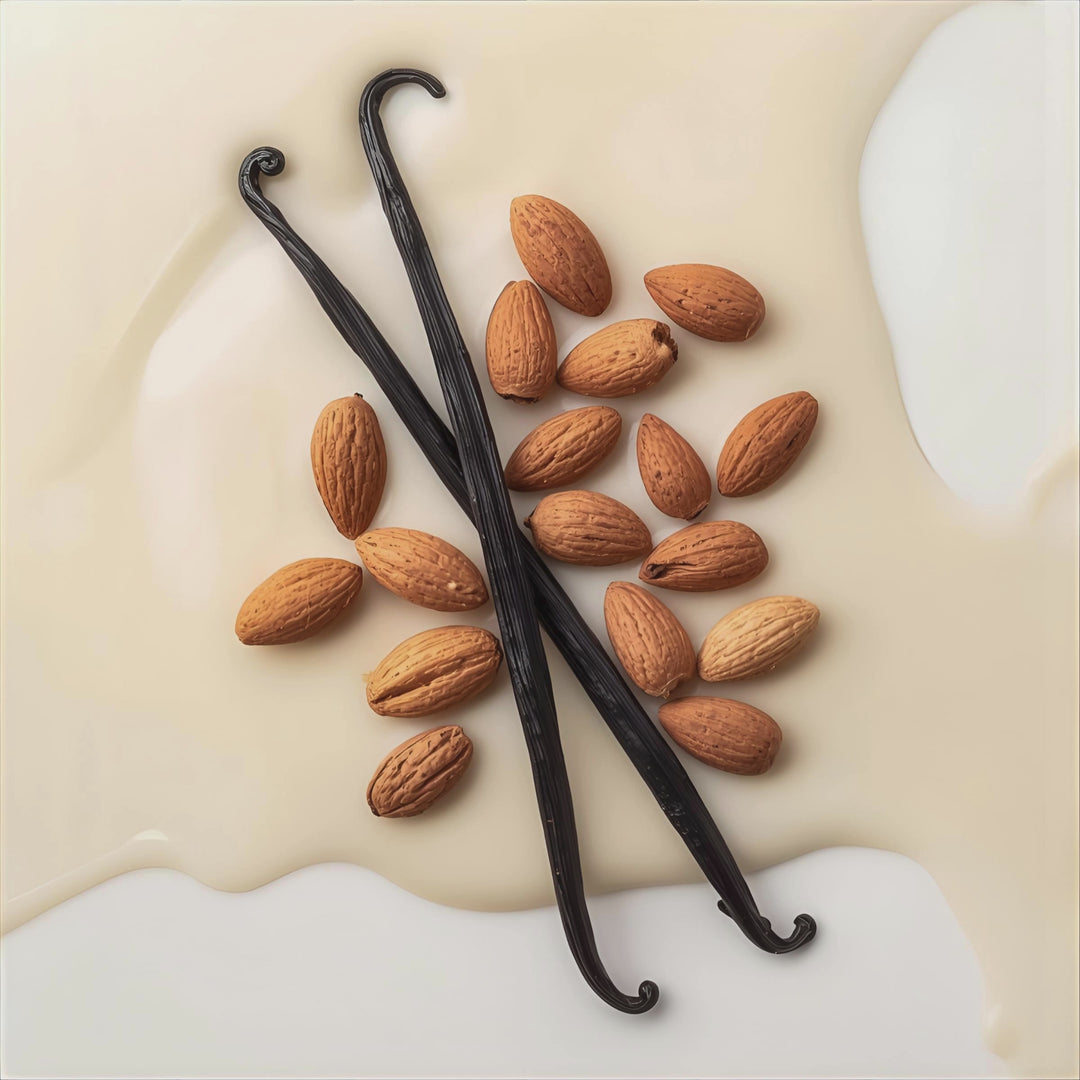 Vanilla Vanilla Fragrance Notes: Top Nptes: Vanilla Bean, Almond. Middle Notes: Sweet Cream. Base Notes: Sandalwood, Musk.