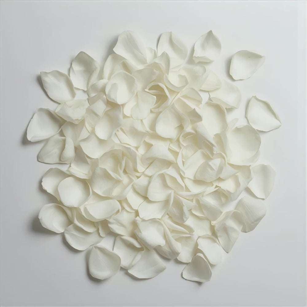 Tuberose Creme fragrance notes. top notes lactonic cream, ambrette. middle notes tuberose, jasmine, smoky incense. base notes: vanilla, tonka bean, cocoa powder.