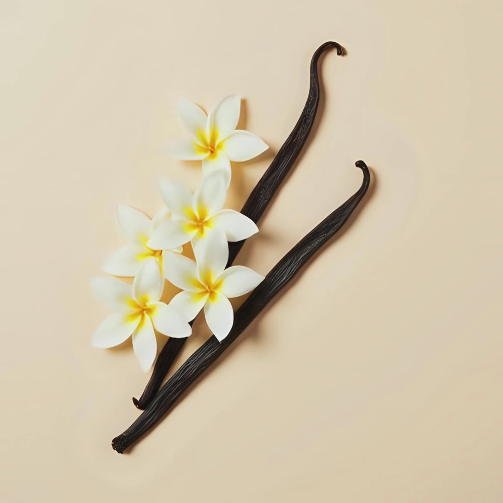 Jasmine Vanilla Fragrance Notes. Top notes: Jasmine. Middle Notes: Sugar Cane. Base Notes: Vanilla Bean