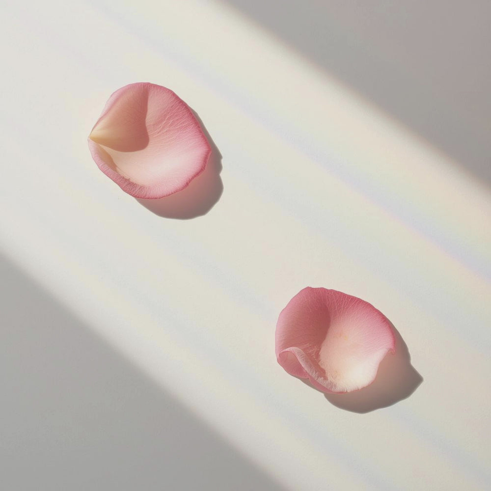 A luminous blend of pear, lychee, and grapefruit opens this fragrance with juicy freshness. At its heart, Damascena rose is wrapped in smoky incense and earthy vetiver, creating a romantic, mysterious depth. The scent dries down to creamy vanilla, soft musk, and woody evernyl for a warm, sophisticated finish.