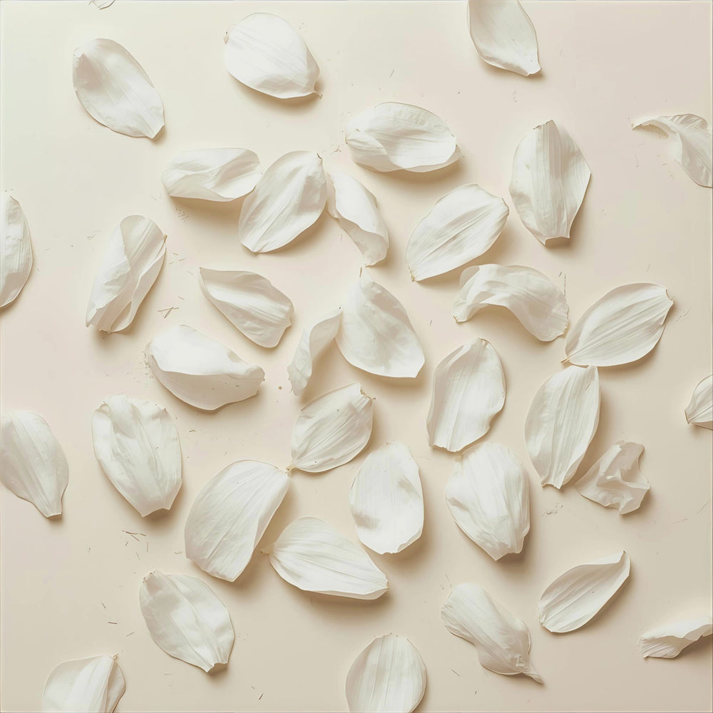 Tuberose Creme fragrance notes. Top notes: lactonic cream, ambrette. Middle Notes: Tuberose, Jasmine, Smoky Incense. Base Notes: Vanilla, Tonka Bean, Cocoa Powder.