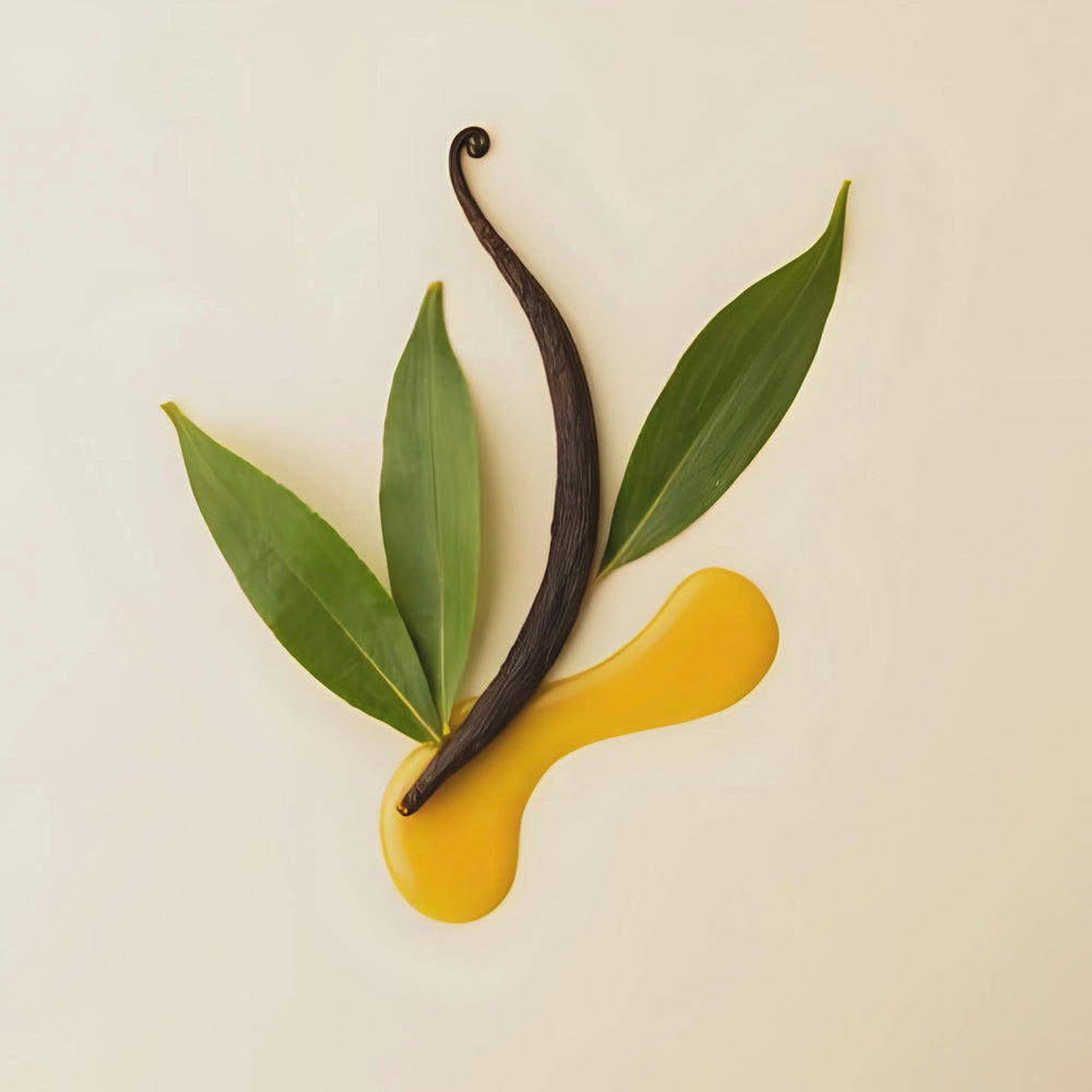 Patchouli Vanilla Fragrance Notes. Top Notes: Patchouli. Middle Notes: Sugar Cane. Base Notes: Vanilla Bean